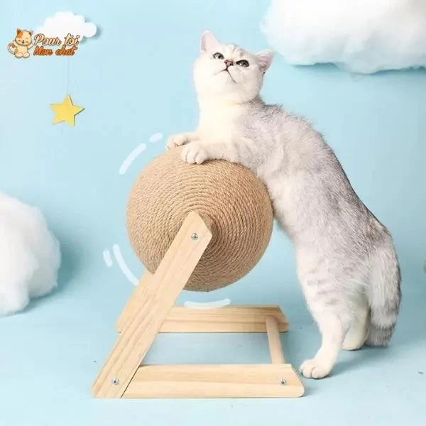 Griffoir Brosse Boule Pour Chat - Grif'Ball'Cat™ 6 Griffoir Brosse Boule Pour Chat - Grif'Ball'Cat™ – Image 6