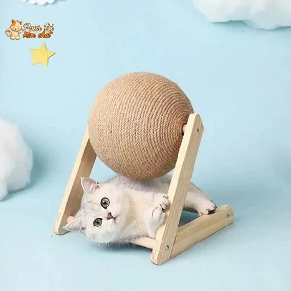 Griffoir Brosse Boule Pour Chat - Grif'Ball'Cat™ 11 Griffoir Brosse Boule Pour Chat - Grif'Ball'Cat™ – Image 11