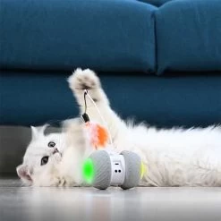 Jouet Intelligent Interactif Pour Chat - ROUESàPLUMES™ - Tiges Et Plumes De Rechange -Chats Fournitures Magasin Cat Stick Feathers Accessories for Smart Interactive Cat Toy Funny Pet Game Electronic LED Light Toys Kitty Balls Pour toi Mon chat 1682289634 f1ea477a dc42 4dbf 8651 eff9334aee9a