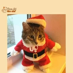 Noël - Déguisement De Père Noël Pour Chat - Chat’Noël™