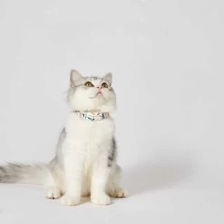 Collier De Suivi GPS Bluetooth étanche Et Réglable Pour Chat