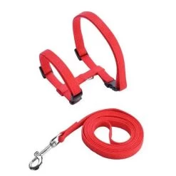 Collier En Nylon Réglable Pour Chat -Chats Fournitures Magasin Collier en nylon reglable pour chat Pour toi Mon chat 1680791269
