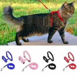 Collier En Nylon Réglable Pour Chat -Chats Fournitures Magasin Collier en nylon reglable pour chat Pour toi Mon chat 1680791295 d70a3c48 1e13 4f4b bfdc bf30d94706e5