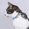 Collier Personnalisé En Nylon Avec Clochette Pour Chat