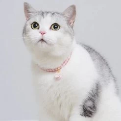 Collier Réglable Rose Pour Chat Avec Pendentif De Patte De Chat Et Cloche