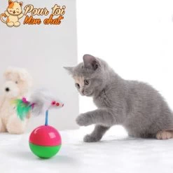 Balle Culbuto Avec Souris - Souris'On'Ball™ -Chats Fournitures Magasin Cute Durable Pet Cat Toys Mimi Favorite Fur Mouse Tumbler Kitten Cat Toys Plastic Play Balls for Catch Cats Supplies Pour toi Mon chat 1636566974