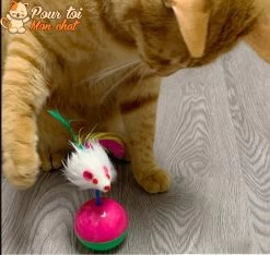 Balle Culbuto Avec Souris - Souris'On'Ball™ -Chats Fournitures Magasin Cute Durable Pet Cat Toys Mimi Favorite Fur Mouse Tumbler Kitten Cat Toys Plastic Play Balls for Catch Cats Supplies Pour toi Mon chat 1636566976