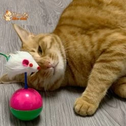 Balle Culbuto Avec Souris - Souris'On'Ball™ -Chats Fournitures Magasin Cute Durable Pet Cat Toys Mimi Favorite Fur Mouse Tumbler Kitten Cat Toys Plastic Play Balls for Catch Cats Supplies Pour toi Mon chat 1636572173