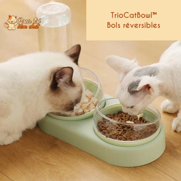 Distributeur De Croquettes Et Eau Pour Chat - TrioCatBowl™ 11 Distributeur De Croquettes Et Eau Pour Chat - TrioCatBowl™ – Image 11