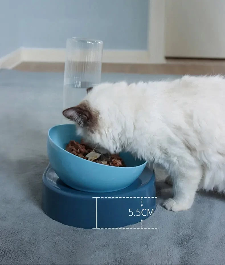 Double Bol Pour Chat Avec Support Surélevé 2 Double Bol Pour Chat Avec Support Surélevé – Image 2