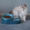 Double Bol Pour Chat Avec Support Surélevé