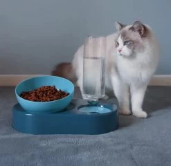 Double Bol Pour Chat Avec Support Surélevé