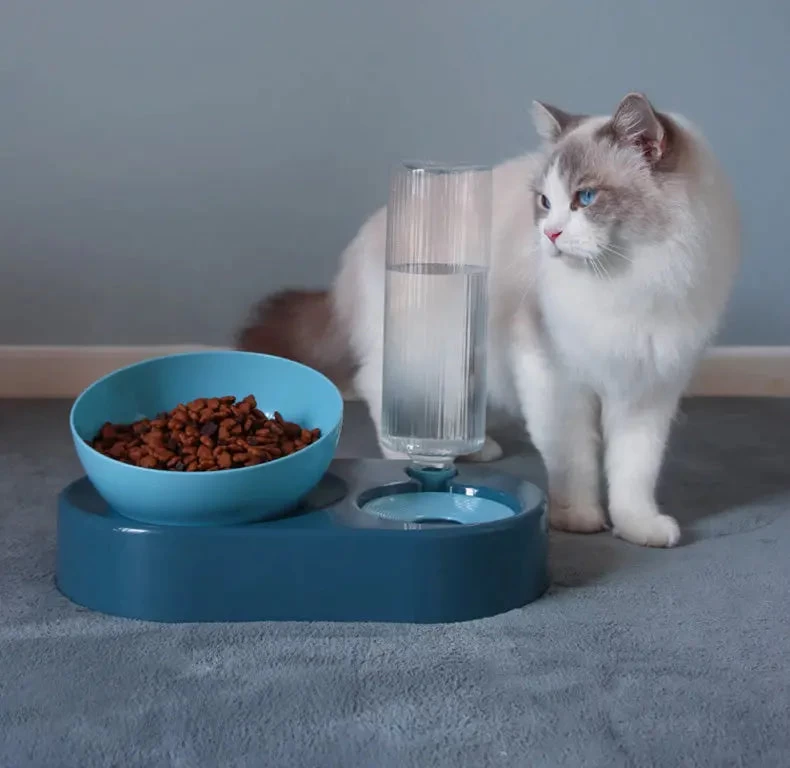 Double Bol Pour Chat Avec Support Surélevé 1 Double Bol Pour Chat Avec Support Surélevé