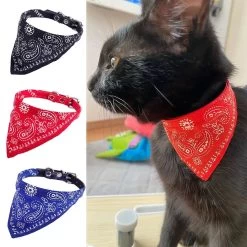 Écharpe Ajustable Pour Chaton -Chats Fournitures Magasin Echarpe ajustable pour chaton Pour toi Mon chat 1680703304 60fcdc07 318e 42ca 8247 6e059f9cd1cc