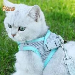 Ensemble De Laisse Et Maille Réglable Pour Chat -Chats Fournitures Magasin Ensemble de laisse et maille reglable pour chat Pour toi Mon chat 1682144972