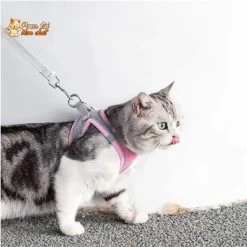 Ensemble De Laisse Et Maille Réglable Pour Chat -Chats Fournitures Magasin Ensemble de laisse et maille reglable pour chat Pour toi Mon chat 1682144978