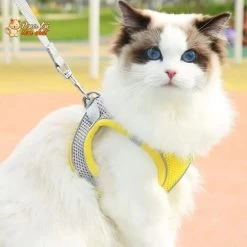 Ensemble De Laisse Et Maille Réglable Pour Chat -Chats Fournitures Magasin Ensemble de laisse et maille reglable pour chat Pour toi Mon chat 1682144981