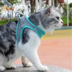 Ensemble De Laisse Et Maille Réglable Pour Chat -Chats Fournitures Magasin Ensemble de laisse et maille reglable pour chat Pour toi Mon chat 1682144984