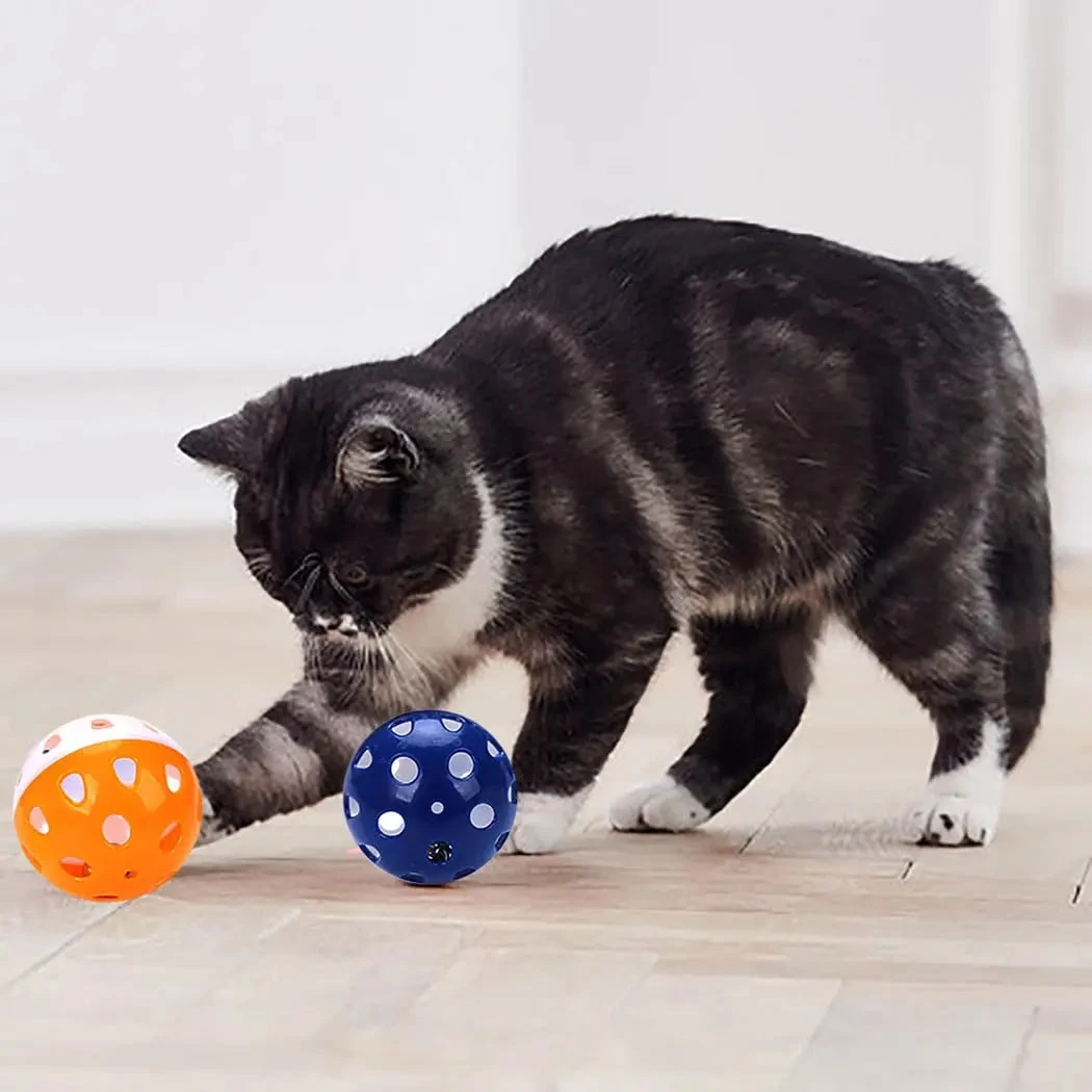 Ensemble De Six Boules Amusantes Avec Cloche Pour Chat 2 Ensemble De Six Boules Amusantes Avec Cloche Pour Chat – Image 2