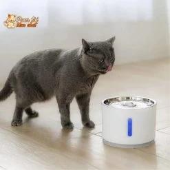 Fontaine à Eau Silencieuse Pour Chat - WaterCat™ 17 Fontaine à Eau Silencieuse Pour Chat - WaterCat™ -Chats Fournitures Magasin Fontaine a Eau Silencieuse pour Chat WaterCat Pour toi Mon chat 1653818677