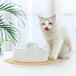 Fontaine à Boire En Céramique Avec Filtre Pour Chat 8 Fontaine à Boire En Céramique Avec Filtre Pour Chat -Chats Fournitures Magasin Fontaine a boire en ceramique avec filtre pour chat Pour toi Mon chat 1679406851 83c1214b be1e 4776 9266 e81bec7bae71