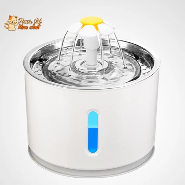 Fontaine à Eau Silencieuse Pour Chat - WaterCat™ 10 Fontaine à Eau Silencieuse Pour Chat - WaterCat™ – Image 10
