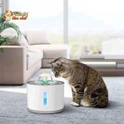 Fontaine à Eau Silencieuse Pour Chat - WaterCat™ 15 Fontaine à Eau Silencieuse Pour Chat - WaterCat™ -Chats Fournitures Magasin Fontaine a eau electrique silencieuse pour Chat WaterCat Pour toi Mon chat 1636733621
