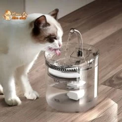 Fontaine à Eau Pour Chat Avec Capteur Automatique