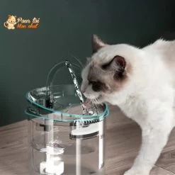 Fontaine à Eau Pour Chat Avec Capteur Automatique -Chats Fournitures Magasin Fontaine a eau pour chat avec capteur automatique Pour toi Mon chat 1663698418