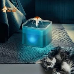 Fontaine à Eau Pour Chats Avec éclairage LED -Chats Fournitures Magasin Fontaine a eau pour chats avec eclairage LED Pour toi Mon chat 1664847337