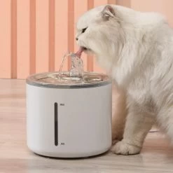 Fontaine Automatique En Acier Inoxydable Pour Chat