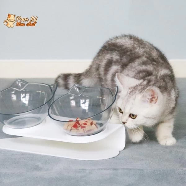 Gamelle Tête De Chat 2 En 1 - Cat'Twin'Bowl™ 1 Gamelle Tête De Chat 2 En 1 - Cat'Twin'Bowl™