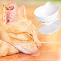 Gamelle Tête De Chat 2 En 1 - Cat'Twin'Bowl™ 20 Gamelle Tête De Chat 2 En 1 - Cat'Twin'Bowl™ -Chats Fournitures Magasin Gamelle 2 en 1 pour chat CatTwinBowl Pour toi Mon chat 1636879183