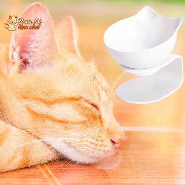 Gamelle Tête De Chat 2 En 1 - Cat'Twin'Bowl™ 3 Gamelle Tête De Chat 2 En 1 - Cat'Twin'Bowl™ – Image 3