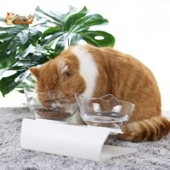 Gamelle Tête De Chat 2 En 1 - Cat'Twin'Bowl™ 24 Gamelle Tête De Chat 2 En 1 - Cat'Twin'Bowl™ -Chats Fournitures Magasin Gamelle 2 en 1 pour chat CatTwinBowl Pour toi Mon chat 1636879194