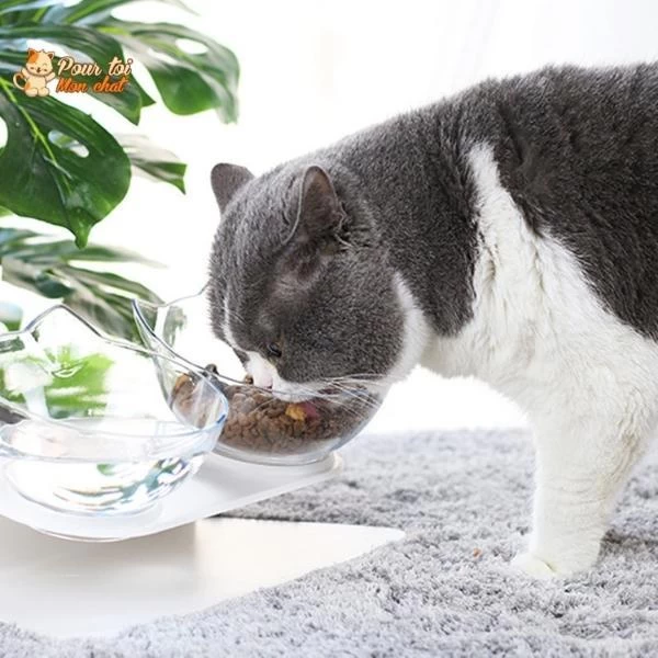 Gamelle Tête De Chat 2 En 1 - Cat'Twin'Bowl™ 9 Gamelle Tête De Chat 2 En 1 - Cat'Twin'Bowl™ – Image 9