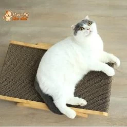 La Planche à Gratter 3 En 1 Griffoir, Lit, Jouet - Pour Chat - Grat’Minou™ -Chats Fournitures Magasin Grat Minou La planche a gratter 3 en 1 Griffoir Lit Jouet pour Chat Pour toi Mon chat 1658619814