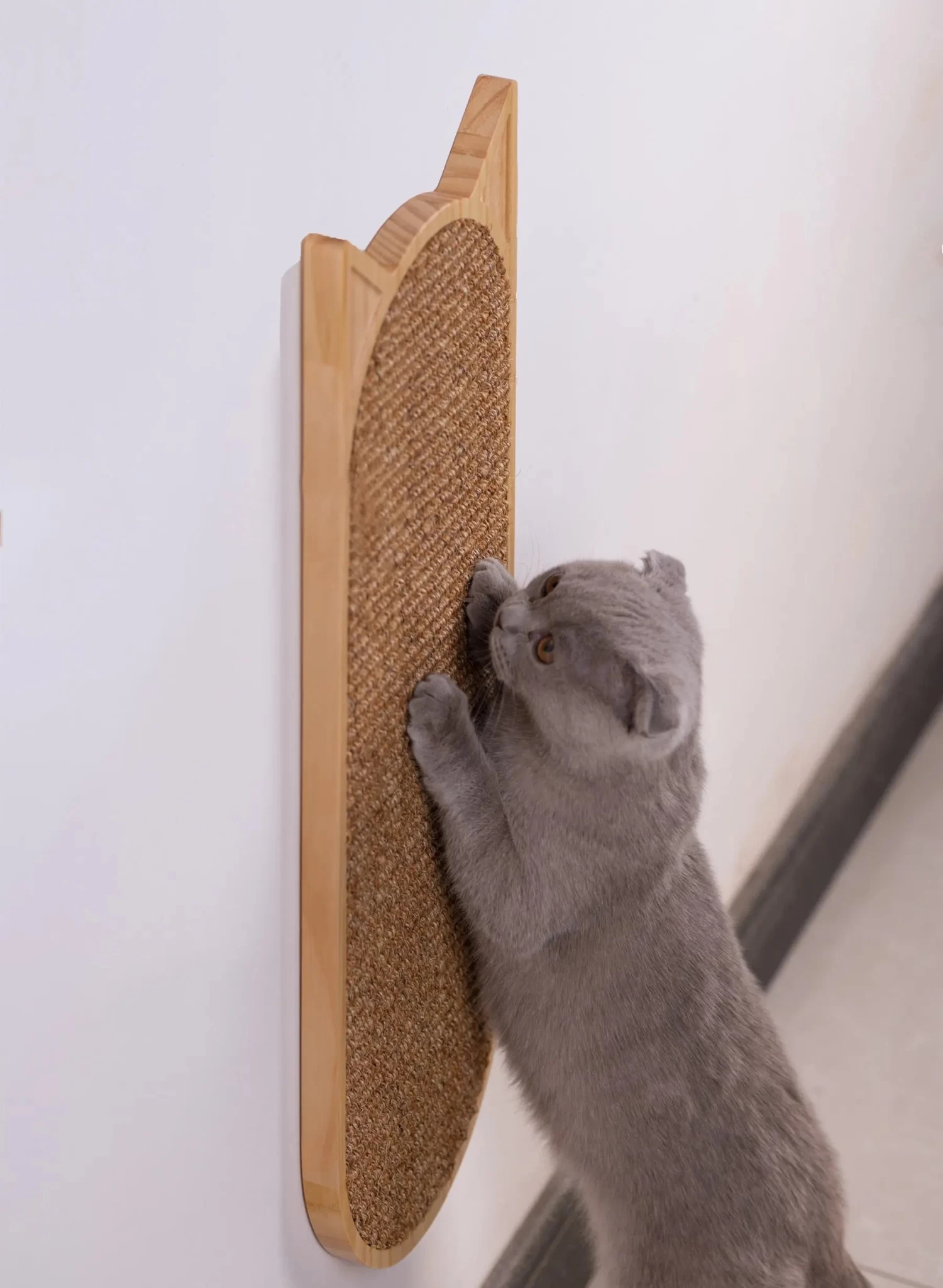 Grattoir Mural En Sisal Pour Chat 2 Grattoir Mural En Sisal Pour Chat – Image 2