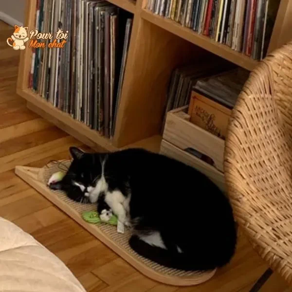 Grattoir Mural En Sisal Pour Chat 1 Grattoir Mural En Sisal Pour Chat