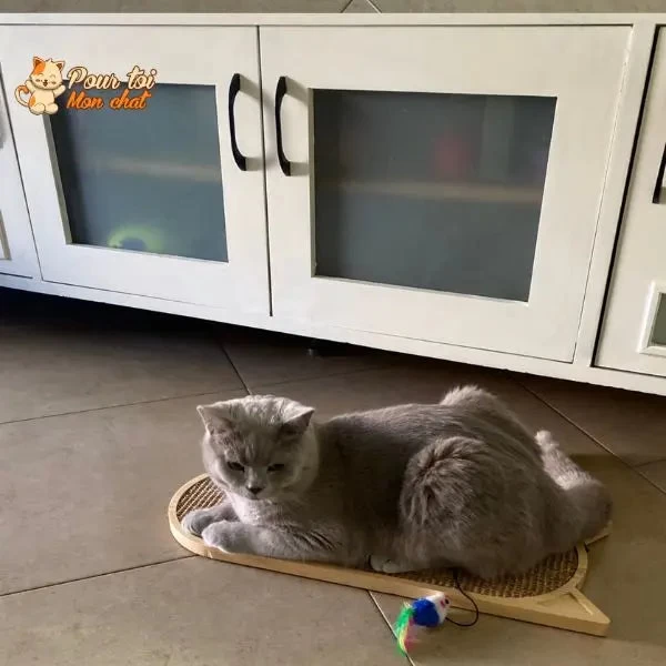 Grattoir Mural En Sisal Pour Chat 8 Grattoir Mural En Sisal Pour Chat – Image 8