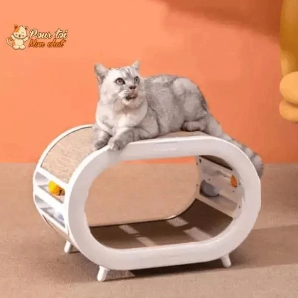 Griffoir Ludique, Design Et Spacieux Pour Chats 1 Griffoir Ludique, Design Et Spacieux Pour Chats