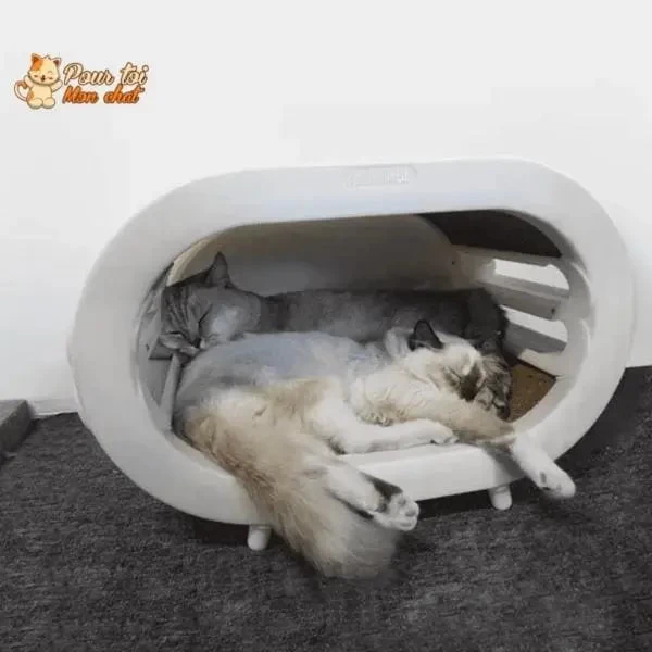 Griffoir Ludique, Design Et Spacieux Pour Chats 8 Griffoir Ludique, Design Et Spacieux Pour Chats – Image 8