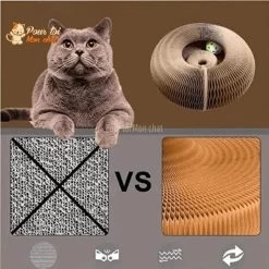 Griffoir Magique Modulable En Jouet Pour Chat - Accordéon4Cat™ 26 Griffoir Magique Modulable En Jouet Pour Chat - Accordéon4Cat™ -Chats Fournitures Magasin Griffoir magique modulable en jouet pour chat Accordeon4Cat Pour toi Mon chat 1667237580