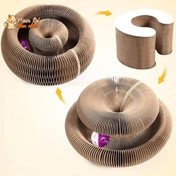 Griffoir Magique Modulable En Jouet Pour Chat - Accordéon4Cat™ 7 Griffoir Magique Modulable En Jouet Pour Chat - Accordéon4Cat™ – Image 7