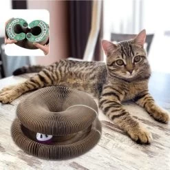 Griffoir Magique Modulable En Jouet Pour Chat - Accordéon4Cat™ 24 Griffoir Magique Modulable En Jouet Pour Chat - Accordéon4Cat™ -Chats Fournitures Magasin Griffoir magique modulable en jouet pour chat Accordeon4Cat Pour toi Mon chat 1667237618 1a51f5a1 f811 4995 93da 84701dd7870e