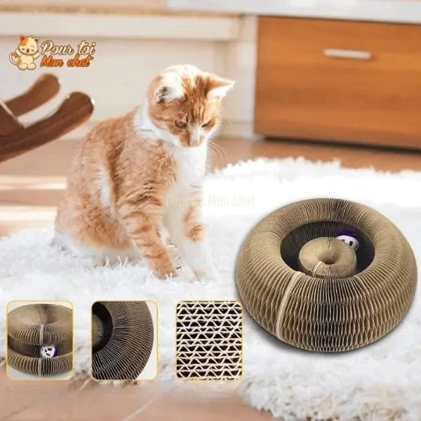 Griffoir Magique Modulable En Jouet Pour Chat - Accordéon4Cat™ 4 Griffoir Magique Modulable En Jouet Pour Chat - Accordéon4Cat™ – Image 4