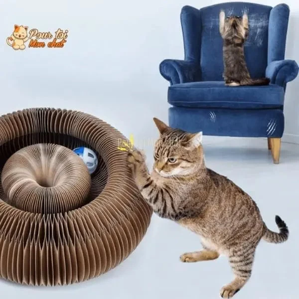 Griffoir Magique Modulable En Jouet Pour Chat - Accordéon4Cat™ 1 Griffoir Magique Modulable En Jouet Pour Chat - Accordéon4Cat™