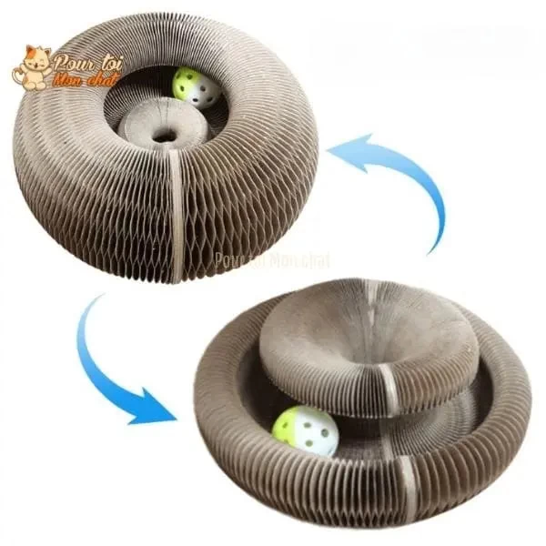 Griffoir Magique Modulable En Jouet Pour Chat - Accordéon4Cat™ 15 Griffoir Magique Modulable En Jouet Pour Chat - Accordéon4Cat™ – Image 15