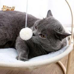 Panier Suspendu Avec Un Jouet - Hamac4cat™ -Chats Fournitures Magasin HAMAC4CAT Lit surreleve Chat Pour toi Mon chat 1623419258
