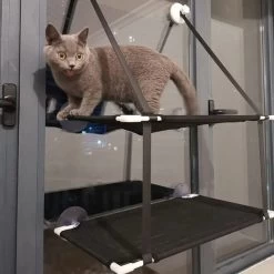Hamac à Fenêtre Suspendue Pour Chaton